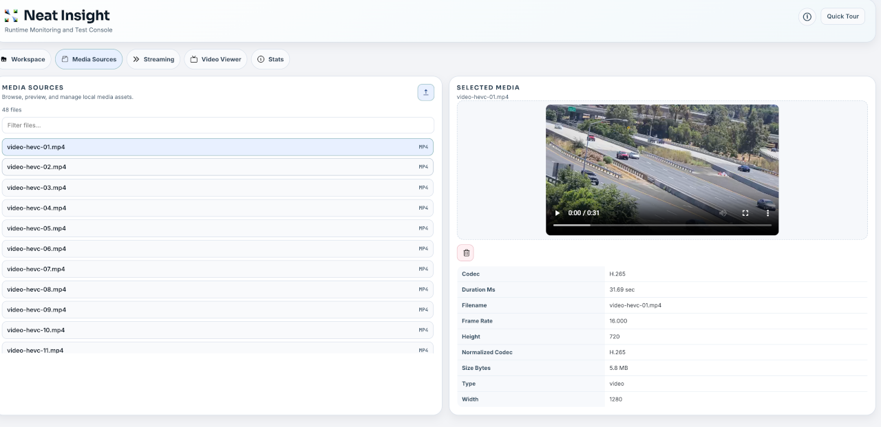 Insight Media Sources view showing a selected video preview and media metadata.